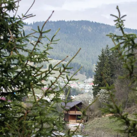 Karpatska Oselia Villa Verkhovyna Exterior photo
