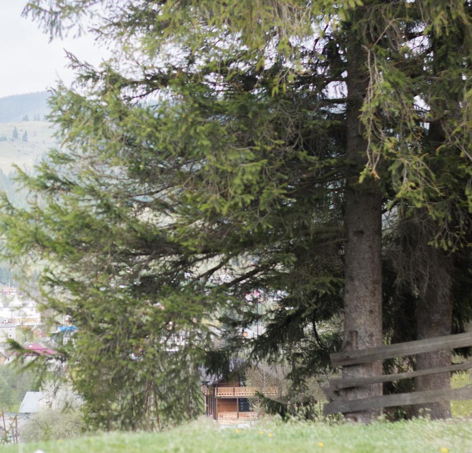 Karpatska Oselia Lodge *